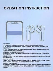 In-Ear Headphones